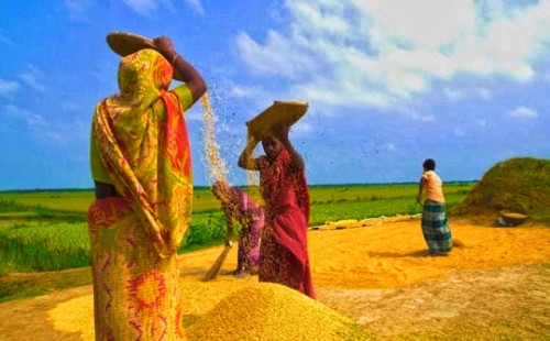 গ্রামীণ নারীর ক্ষমতায়নই সমৃদ্ধ বাংলাদেশের ভিত্তি